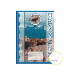 Sešit A5 520/ 20 listů, čistý Notes